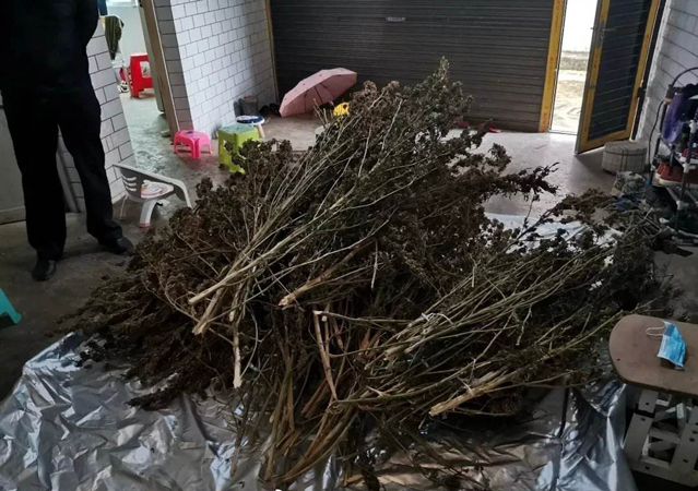 溫州摧毀用虛擬幣交易販毒團(tuán)伙3.jpg
