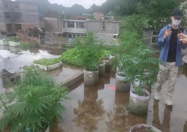 溫州摧毀用虛擬幣交易販毒團(tuán)伙4.jpg