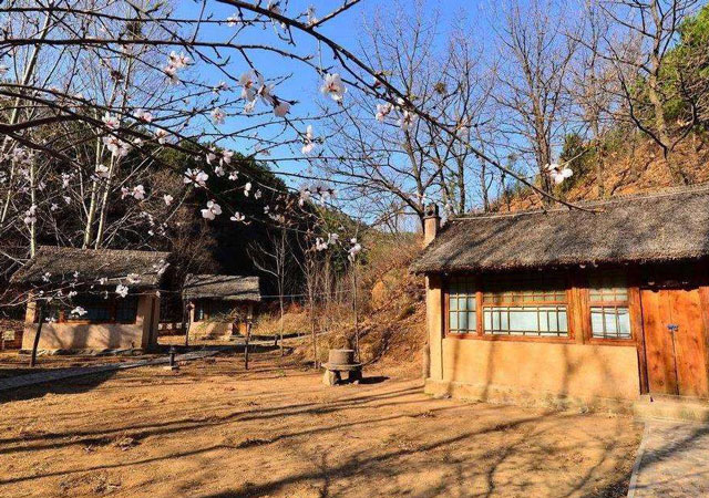 農(nóng)村住宅可以買賣嗎.jpg