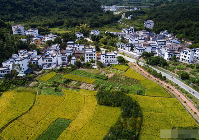 鄉(xiāng)村振興.jpg