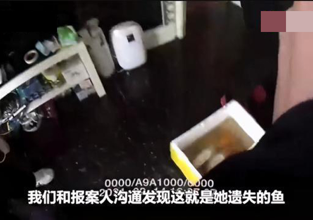 男子偷5萬(wàn)元錦鯉曬成小魚(yú)干3.jpg