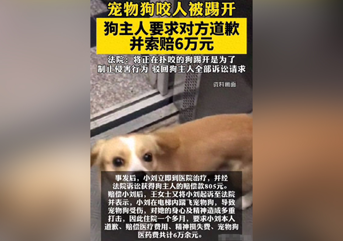 狗咬人被踢傷狗主人索賠被駁.jpg