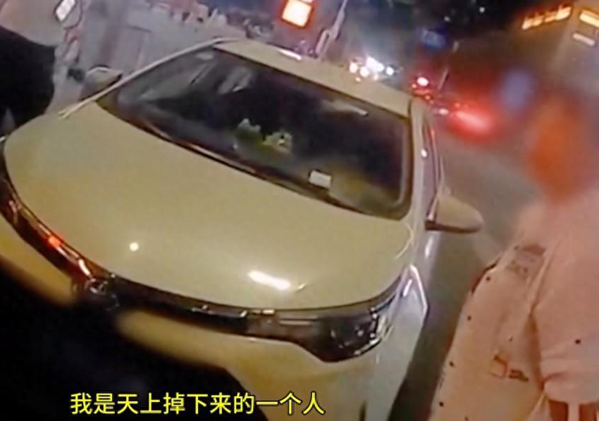 女司機故意擋號牌：我天上掉下來的640.jpg