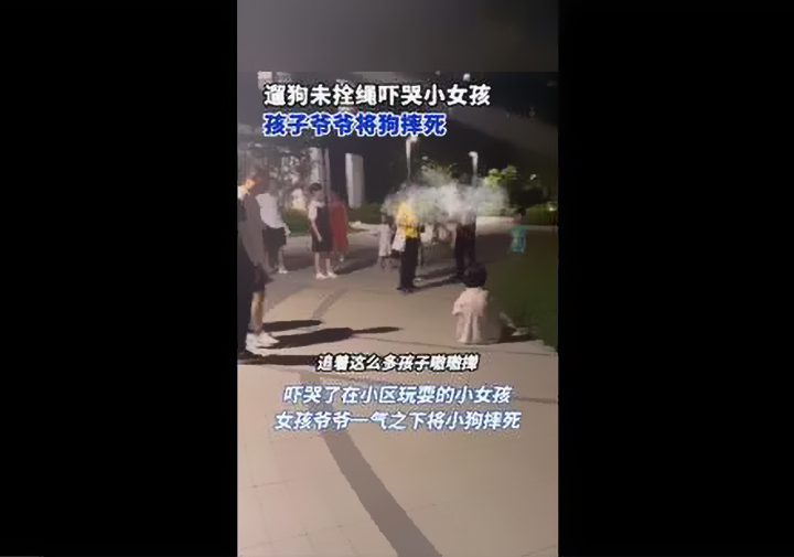寵物狗沒拴繩嚇哭小孩被爺爺摔死.jpg