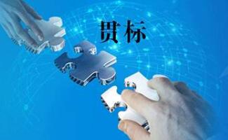 知識產(chǎn)權(quán)貫標(biāo)