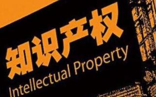 知識產(chǎn)權(quán)規(guī)劃