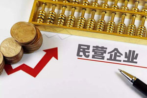 私營企業(yè)和民營企業(yè)