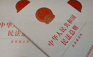 民事質(zhì)證