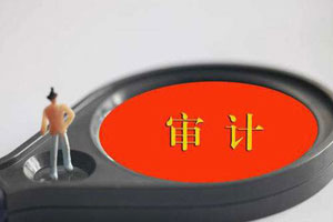 效益審計(jì)