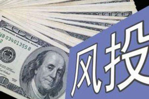 風(fēng)險(xiǎn)投資案例