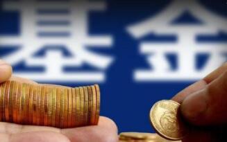藍籌是什么基金