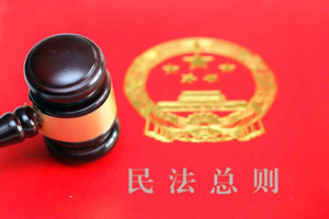可撤銷的民事法律行為