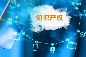 知識產(chǎn)權(quán)查詢