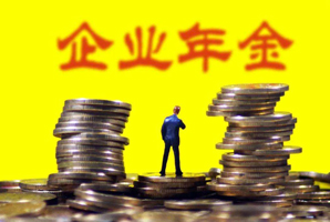 企業(yè)年金與個人所得稅