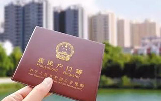 行政訴訟代理