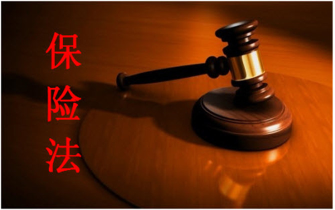 保險法的基本原則