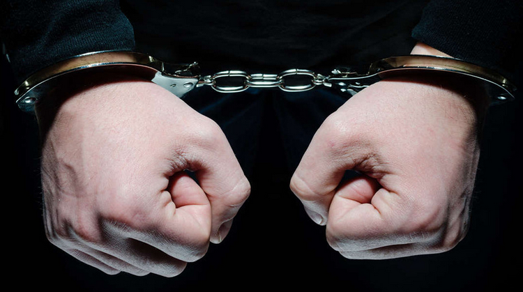 什么是逮捕,？