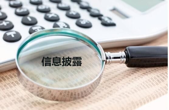 企業(yè)上市輔導(dǎo)過程中信息披露制度的建設(shè)