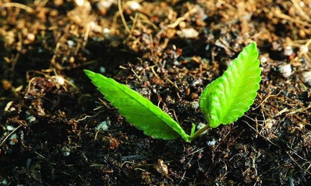 土十條將定土壤污染治理時間表 詳細(xì)計劃或明年出臺