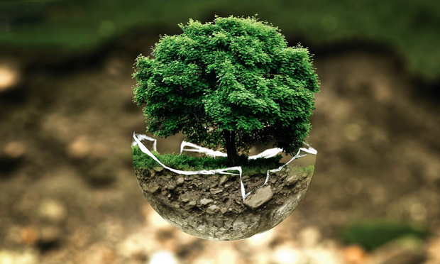 我國環(huán)境訴訟的專家證人制度構(gòu)建