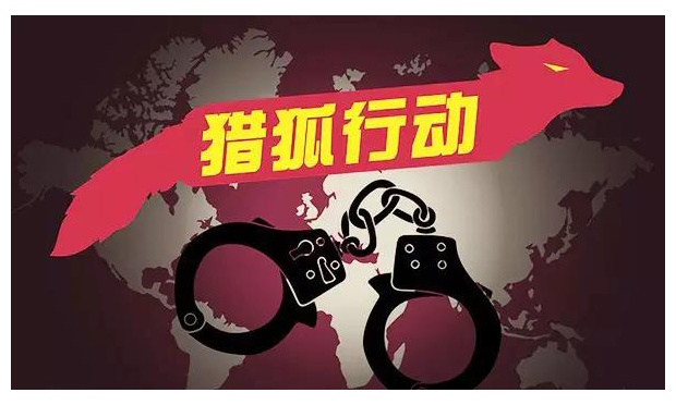 公安部公布“獵狐2015”10大典型案例