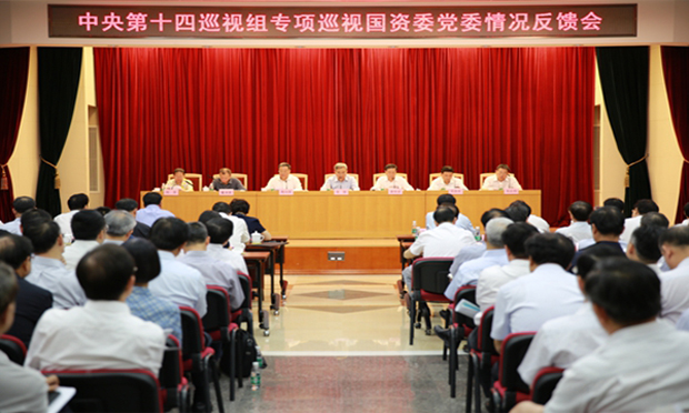 巡視組：國資委執(zhí)紀問責偏輕 奢靡享樂斂而未絕