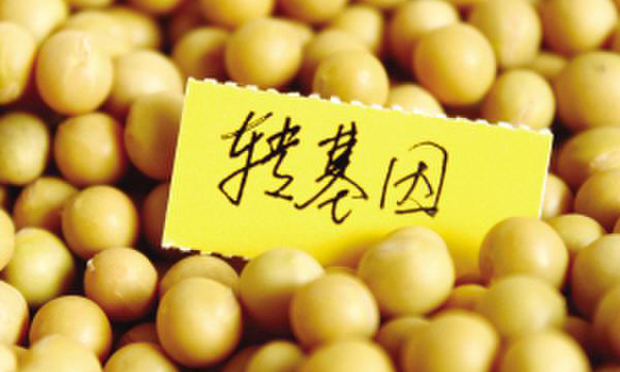 轉(zhuǎn)基因非法種植入刑勢(shì)在必行 專家提設(shè)立基因技術(shù)罪