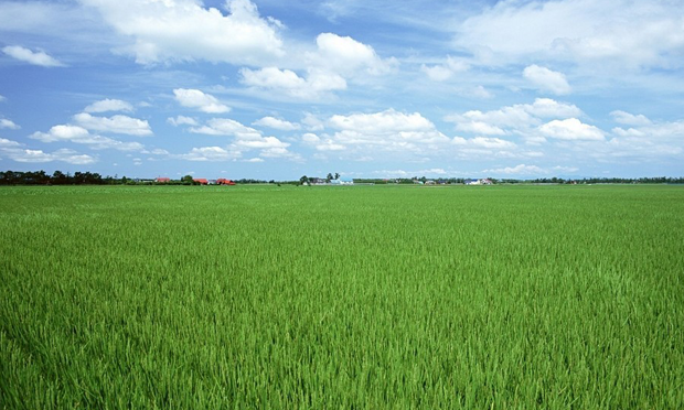 全國人大常委會審議農(nóng)村土地承包法修正案草案