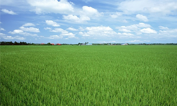 農(nóng)村土地承包法開啟修改模式 解進(jìn)城務(wù)工農(nóng)民后顧之憂