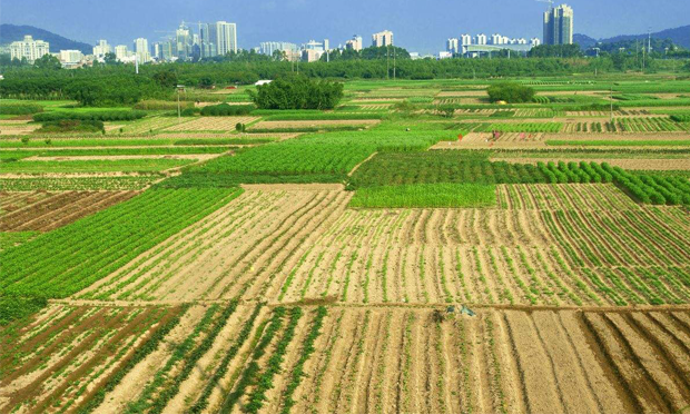 農(nóng)村土地制度改革三項(xiàng)試點(diǎn)延期
