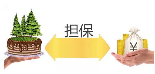 什么是擔(dān)保物權(quán),，包含哪些內(nèi)容