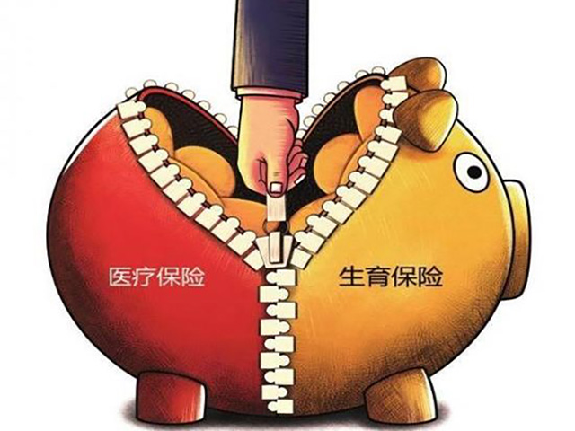 醫(yī)療保險和生育保險的區(qū)別