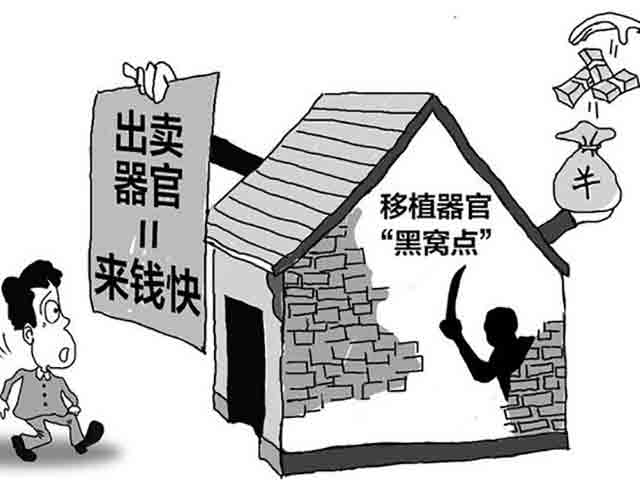 組織販賣人體器官罪的認定和量刑