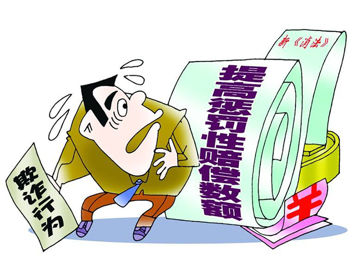 懲罰性賠償?shù)倪m用條件
