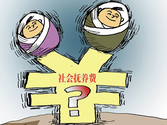 社會撫養(yǎng)費征收的對象