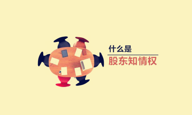 淺析公司股東知情權(quán)