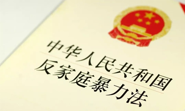 反家庭暴力法實(shí)施兩周年座談會(huì)召開