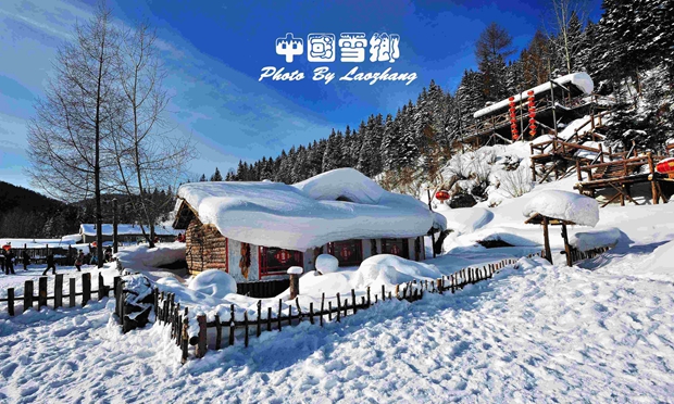 中國雪鄉(xiāng)強迫交易案一審宣判   打人導游被法院判處有期徒刑一年