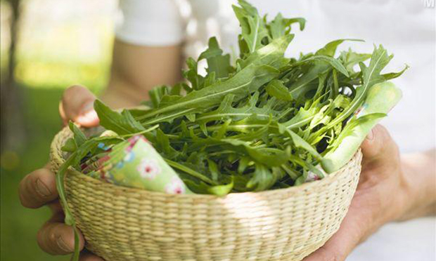 《食品安全法》的最嚴(yán)問(wèn)責(zé)如何確保落得實(shí)