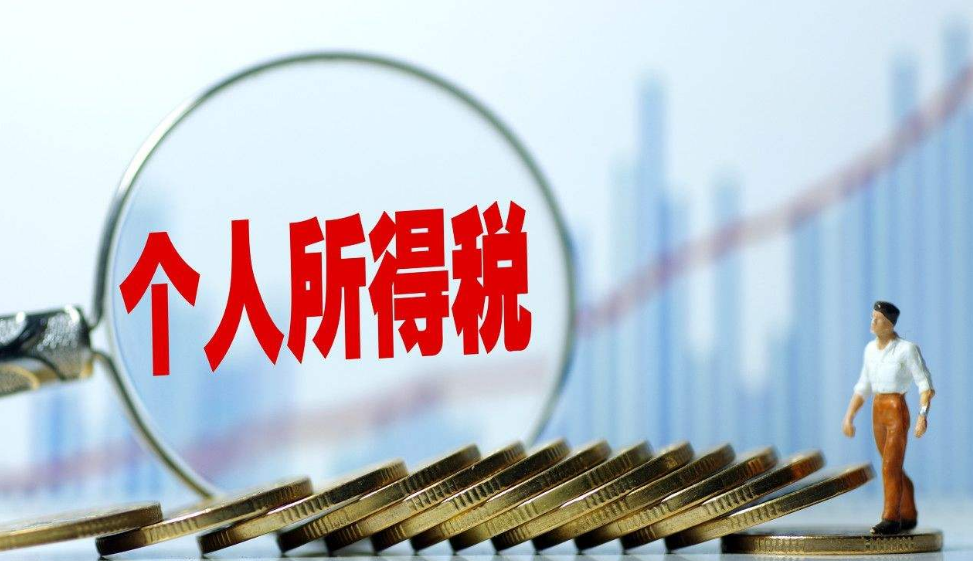 個(gè)人所得稅應(yīng)怎樣繳納,？